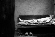 Туринская лошадь / A Torin&#243;i l&#243; (2011)