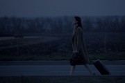 Портрет в сумерках (2011)
