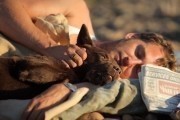 Рыжий пес / Red Dog (2011)