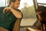 Рыжий пес / Red Dog (2011)