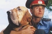 Участок - сериал (2003)