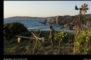 Пеликан / Nicostratos le p&#233;lican (2011)