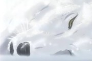 Волчий дождь - сериал / Wolf's Rain (2003)
