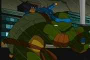 Мутанты черепашки ниндзя. Новые приключения! (1-7 сезон) / Teenage Mutant Ninja Turtles (2003-...)