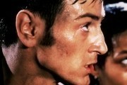 Осиное гнездо / Nid de gu&#234;pes (2002)