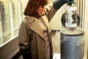 Секретные материалы - все сезоны / The X Files (1993-...)