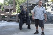 Мой парень из зоопарка / Zookeeper (2011)