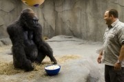 Мой парень из зоопарка / Zookeeper (2011)