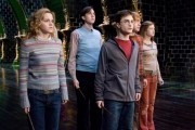 Гарри Поттер и орден Феникса / Harry Potter and the Order of the Phoenix (2007)