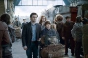 Гарри Поттер и дары смерти: Часть II / Harry Potter and the Deathly Hallows: Part 2 (2011)