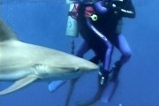 Открытое море / Open Water (2003)