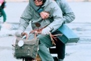 Тупой и еще тупее / Dumb & Dumber (1994)