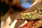 BBC: Прогулки с динозаврами / BBC: Walking with Dinosaurs (1999)