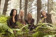 Легенда об Искателе - 1, 2 сезон / Legend of the Seeker (2008-2010)