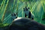 Смелый большой панда / Little Big Panda (2010)