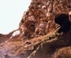 Егерь (2004)