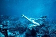 Голубая лагуна / The Blue Lagoon (1980)