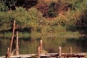 Сочувствие господину Месть / Boksuneun naui geot (2002)