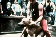 Сука-любовь / Amores perros (2000)