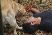 Остаться в живых - 1, 2, 3, 4, 5, 6 сезон / Lost  (2004-2010)