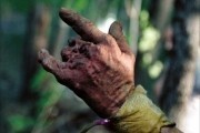 Поворот не туда / Wrong Turn (2003)