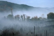Туман (2010)