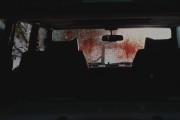 Связанные кровью / Bonded by Blood (2010)