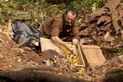 600 кг золота / 600 kilos d'or pur (2010)