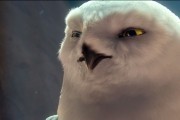 Легенды ночных стражей / Legend of the Guardians: The Owls of Ga'Hoole (2010)