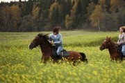 Цветок дьявола (2010)
