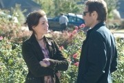 Семейка Джонсов / The Joneses (2010)