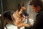Кошки против собак: Месть Китти Галор / Cats & Dogs: The Revenge of Kitty Galore (2010)