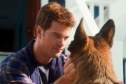 Кошки против собак: Месть Китти Галор / Cats & Dogs: The Revenge of Kitty Galore (2010)