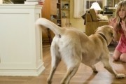 Марли и я / Marley & Me (2008)