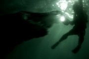 Крокодил / Rogue (2007)