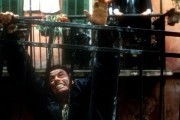 Максимальный риск / Maximum Risk (1996)