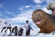 Делай ноги / Happy Feet (2006)