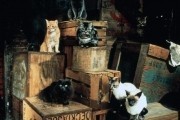 Стюарт Литтл / Stuart Little (1999)