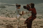 Крадущийся тигр, затаившийся дракон / Wo hu cang long (2000)