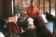 Доктор Дулиттл 2 / Dr. Dolittle 2 (2001)