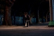 Воющий / Howling (2012)