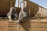 Эван Всемогущий / Evan Almighty (2007)