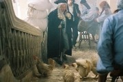 Безумие / &#352;&#237;len&#237; (2005)