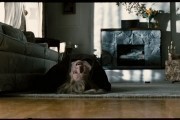 Шкатулка проклятия / The Possession (2012)