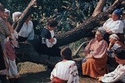 Свадьба в Малиновке (1967)