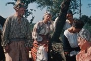 Свадьба в Малиновке (1967)