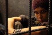 Стальная бабочка (2012)