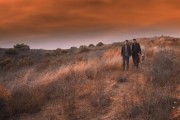 В финале Джон умрет / John Dies at the End (2012)
