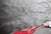 Последняя сказка Риты (2012)