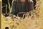 Дни жатвы / Days of Heaven (1978)